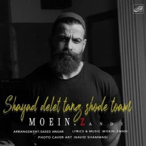 معین زد شاید دلت تنگ شده توام اما نمیتونی حرفی بزنی